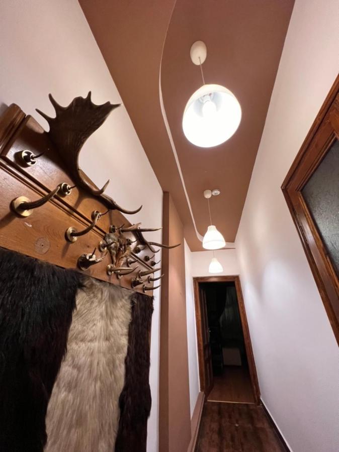 Artist Apartment Μπρασόβ Εξωτερικό φωτογραφία